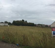 Terrain n&deg;21 - Les lavandes &agrave; Oignies