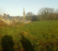 Vue du  futur verger sur le clocher