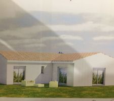 Photo de la maison du coté jardin ( hors tuile qui sont grise nomaleemnt)