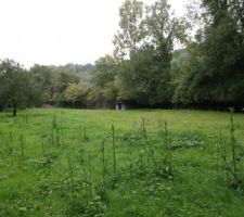 Vu du fond du terrain