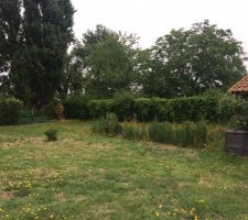 Photo avant chantier