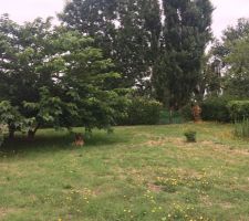 Photo avant chantier