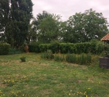 Photo avant chantier