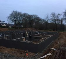 Vide sanitaire en cours