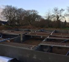 Vide sanitaire en cours