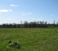 Probablement la vue depuis le futur salon.