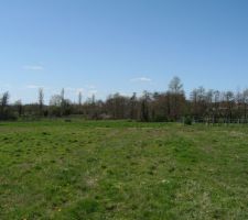 Photo prise depuis entrée du terrain.