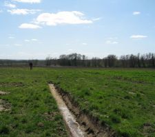 Fossé en dehors du terrain qui servira d'exutoire à l'assainissement individuel.
A la pointe nord du terrain