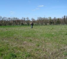 Fond du jardin face au Nord