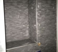 Faïence structuré des toilettes du bas et du haut