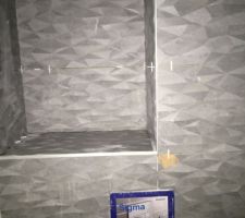 Faïence structuré des toilettes du bas et du haut