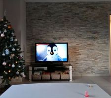 Pierres de parement salon