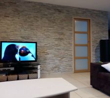 Pierres de parement salon