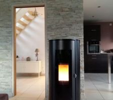 Pierres de parement salon