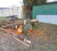 Demolition de la cabane et abbatage des arbres