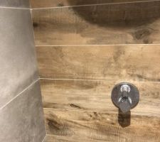 Douche du haut qui sert essentiellement au enfants ! Douche italienne ou nous avons rappelé sur le mur d?en face le carrelage imitation parquet ! La robinetterie thermostatique est de marque hansgroe.