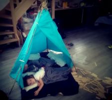 Tipi