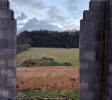 Vue du terrain puis de la forêt domaniale de notre future chambre