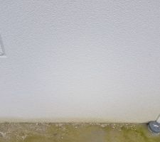 Bande d'humidité