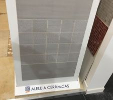 Carrelage wc du Rez de chaussée
