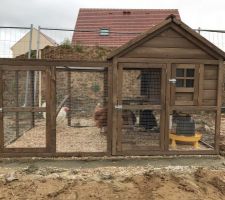 Installation du poulailler
