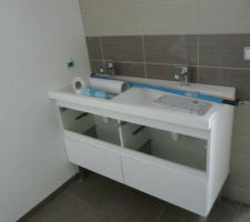 La double vasque de la salle de bain du sous sol