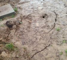 Tiens, la terre s'affaisse (beaucoup !) autour de la cuve de récupération d'eau de pluie ...