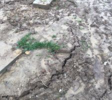 La terre s'affaisse de plus en plus mais c'est normal ...