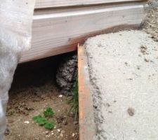 20 cm entre le sol et le bardage on a dit ...