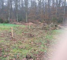 Implantation de la maison