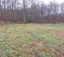 Implantation de la maison