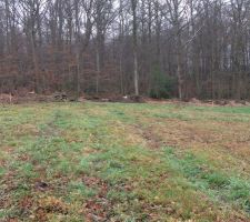 Implantation de la maison