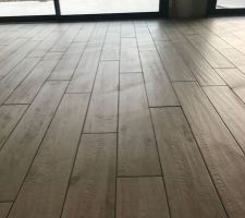 Couleur Joint Carrelage Imitation Parquet | Venus Et Judes