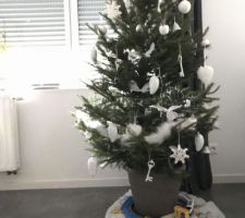 Voici le sapin dans son rôle très symbolique  car il ira ensuite dans le jardin de la maison et nous le retrouveras à la fin de la construction.