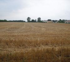 Le voici le voilà, c'est ici sur ce joli terrain qui vient tout juste d'être moissonné que naitra le lotissement dans lequel nous construirons notre future maison