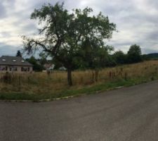 Notre terrain