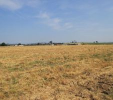 Présentation du terrain