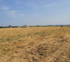 Présentation du terrain