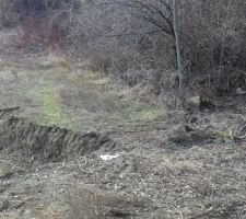 Création de la plateforme de la maison