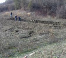 Création de la plateforme de la maison