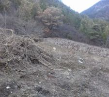 Creusement des fondations