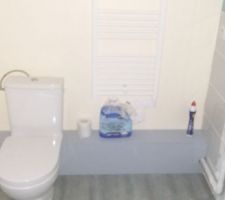 Coffrage salle de bain c&ocirc;t&eacute; wc et emplacement du futur meuble vasque