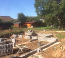 Vide sanitaire en cours