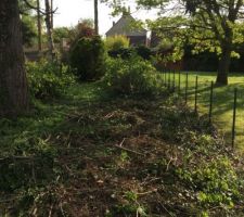 On coupe, on &eacute;lague