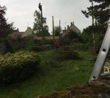 On coupe les arbres