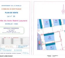 Plan de parcellaire