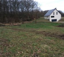 Les arbres qui g&ecirc;naient la construction ont &eacute;t&eacute; abbatus