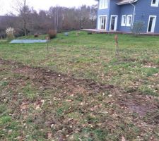 Les arbres qui g&ecirc;naient la construction ont &eacute;t&eacute; abbatus