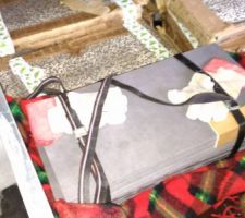 Le carrelage de la SDB et des WC.