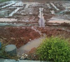 Le terrain inondé par les eaux de pluie qui débordent du regard des eaux usées...